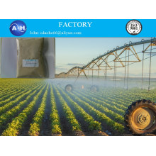 Amino Aicds Fertilisant Haute Nitrigen Poudre